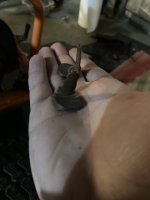 IMG_3051.jpeg