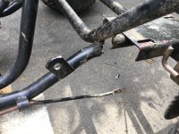 IMG_3196.jpeg