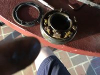 IMG_3211.jpeg