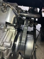 IMG_8377.jpeg