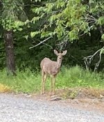 IMG_3308.jpeg