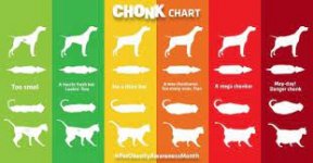 chonker.jpg chonker.jpg