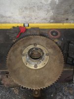 IMG_20230613_072339.jpg