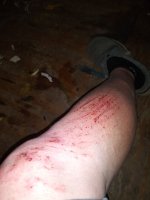 20230710_221604.jpg