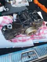 WhatsApp Image 2023-08-02 at 21.15.24.jpeg WhatsApp Image 2023-08-02 at 21.15.24.jpeg