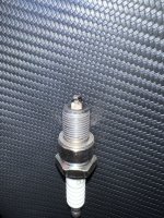 IMG_7204.jpeg