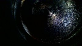 IMG_7208.jpeg
