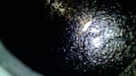 IMG_7206.jpeg