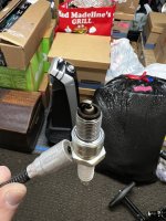 IMG_7211.jpeg