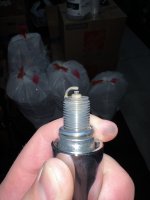 IMG_7219.jpeg