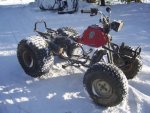 trx 125 001.jpg