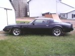 transam2.jpg
