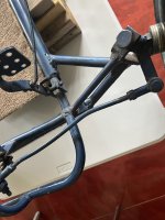 IMG_5277.jpeg