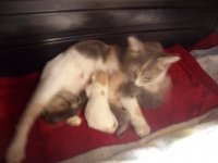SAM_0369.JPG SAM_0369.JPG