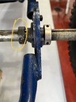 IMG_5320.jpeg