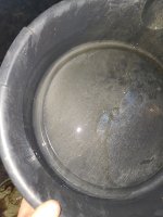 20230926_205902.jpg 20230926_205902.jpg
