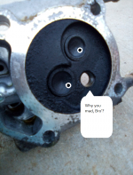 1696424218255.png