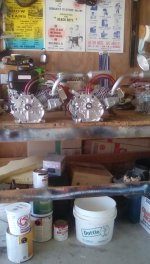 IMG_20231007_125611.jpg