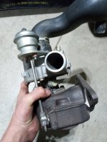 IMG_20231017_195823909.jpg