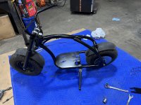 IMG_3593.jpeg