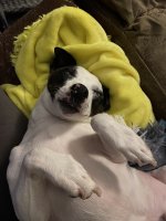 IMG_4642.jpeg