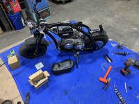 IMG_3648.jpeg