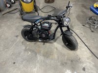 IMG_3657.jpeg