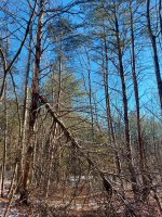 20240117_150641.jpg 20240117_150641.jpg
