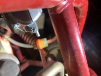IMG_0540.jpeg