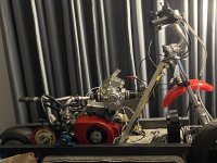 IMG_5124.jpeg