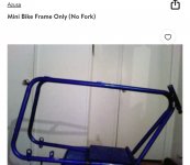 IMG_5330.jpeg