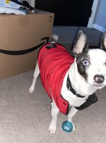 IMG_5376.jpeg