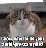 funny-animal-pictures-dumpaday-94.jpg funny-animal-pictures-dumpaday-94.jpg