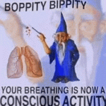 IMG_5461.gif IMG_5461.gif