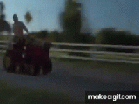 1000001980.gif