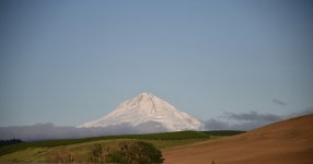 D75_4394.JPG