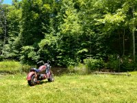 IMG_20240612_135733175_HDR.jpg