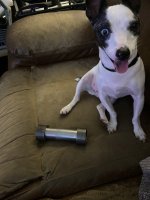 IMG_6675.jpeg