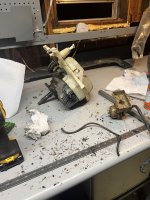 IMG_6638.jpeg