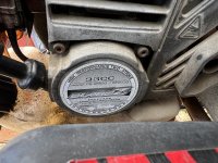IMG_5791.jpeg