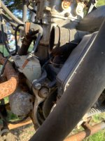 IMG_6294.jpeg