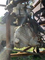 IMG_6293.jpeg