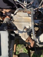 IMG_6296.jpeg