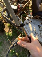 IMG_6301.jpeg