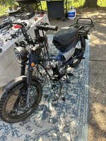 IMG_8247.jpeg