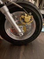 IMG_7282.jpeg IMG_7282.jpeg
