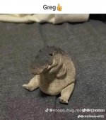 this-is-greg-greg-is-a-crocodile-v0-s1bwtyzoi3db1.jpg
