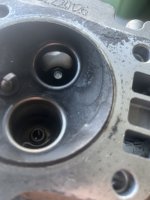 IMG_2208.jpeg