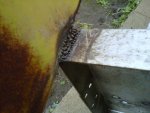 IMG00089-20111013-1719.jpg