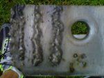 IMG00095-20111013-1721.jpg